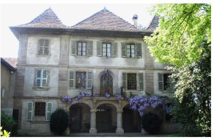 manoir-chappuis-platane